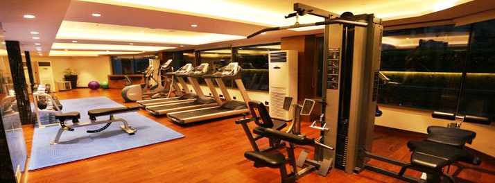 1242/The Pride Plaza Hotel - New Delhi 18.jpg